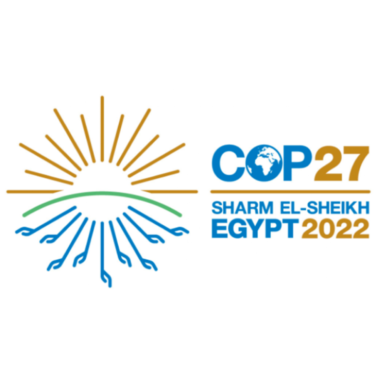 COP27