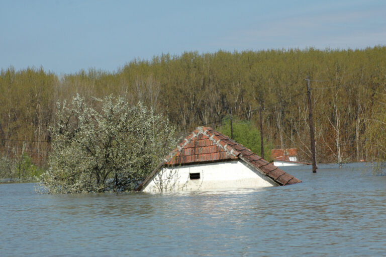 We’re proud to announce! ‘Ecosystem-based Adaptation’